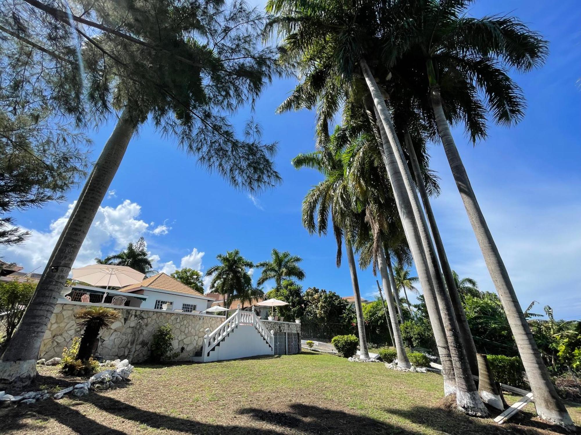 Peaceful Palms Montego Bay Exterior foto